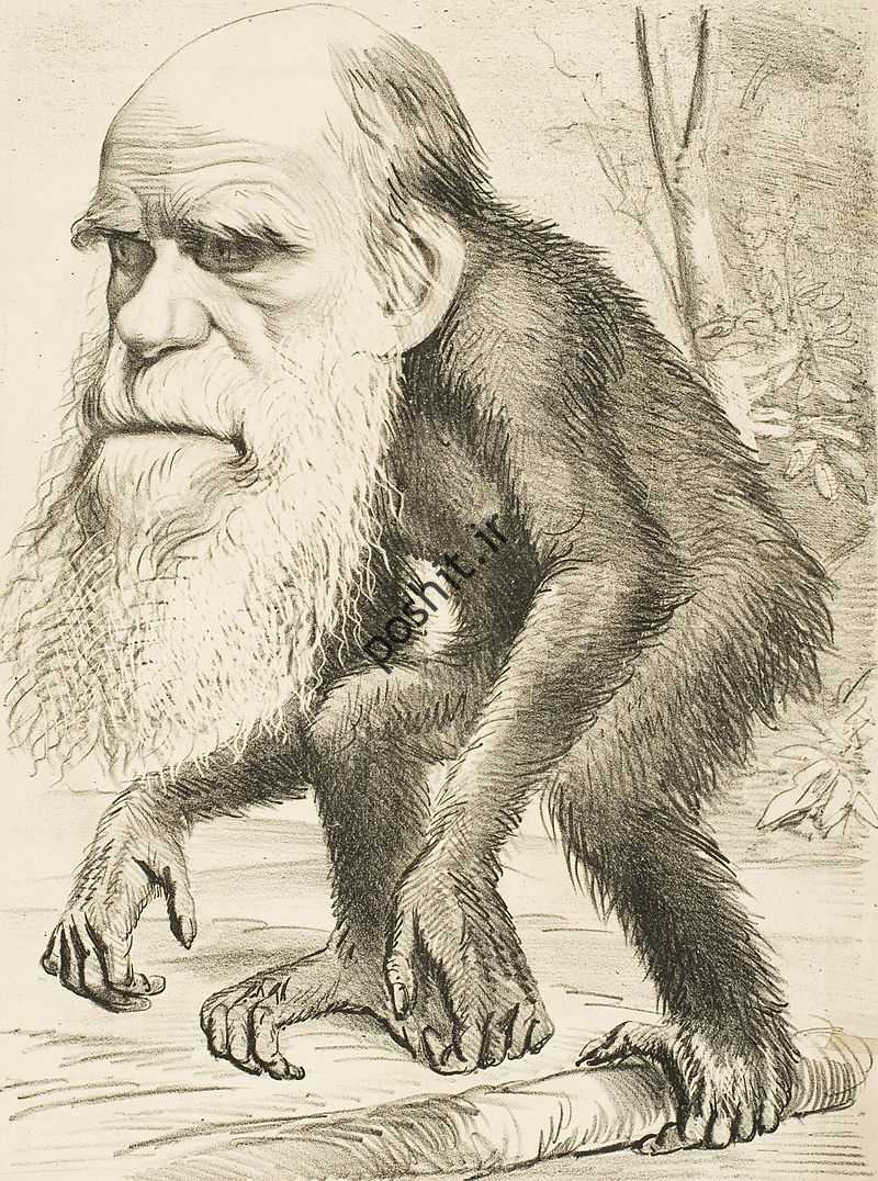 اریکاتورهای نزآمیز دیمی دربارۀ داروین و نظریۀ امل