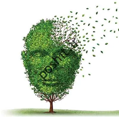 زندگی در دهکده آلزایمر