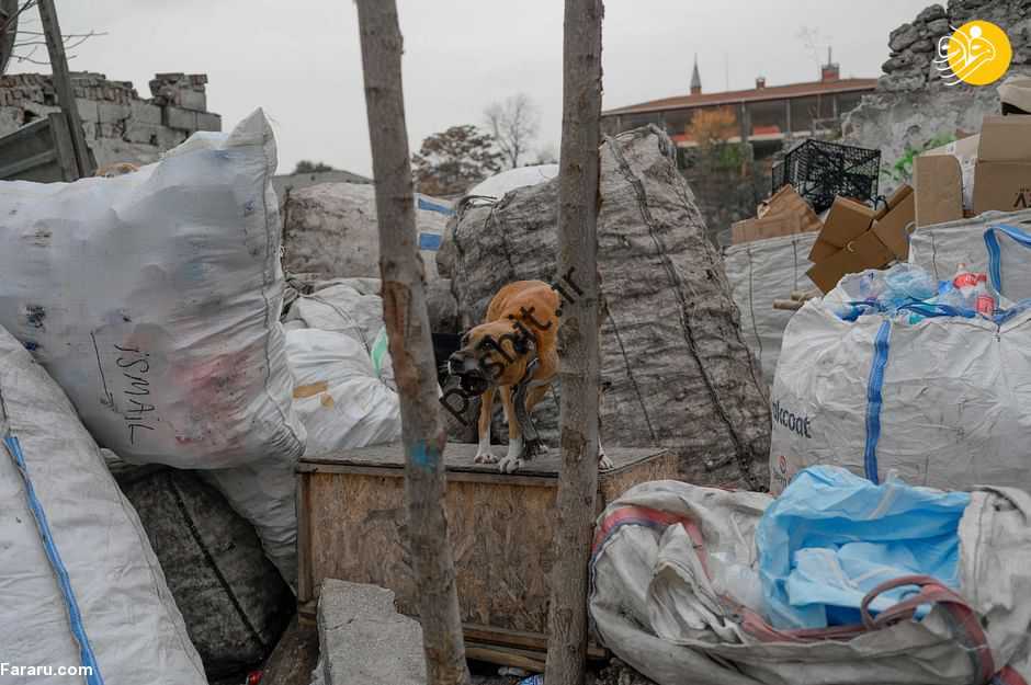 (فیلم) زباله ریختن پناهجویان در استانبول