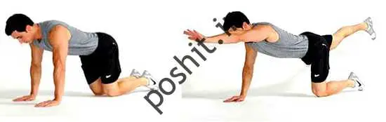 با چند ترفند ساده قوز را در خانه درمان کنید