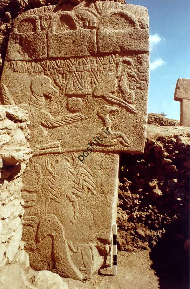معمای اب ویرانگر در اریای ار ساله!