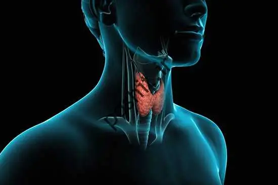 را می توانی احساس سرما می کنم؟